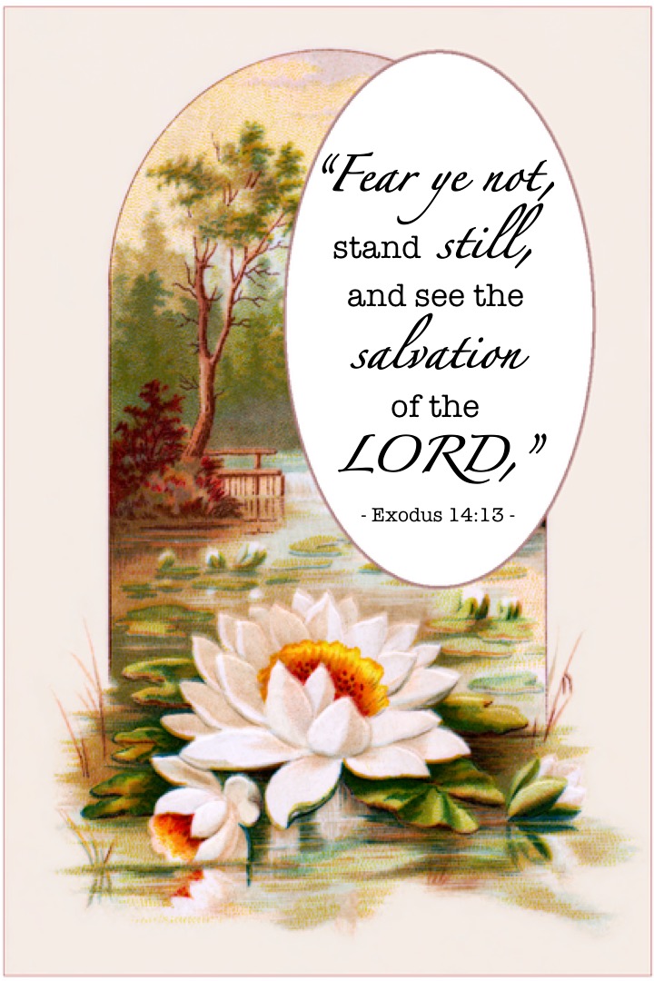 Exodus 14-13 English