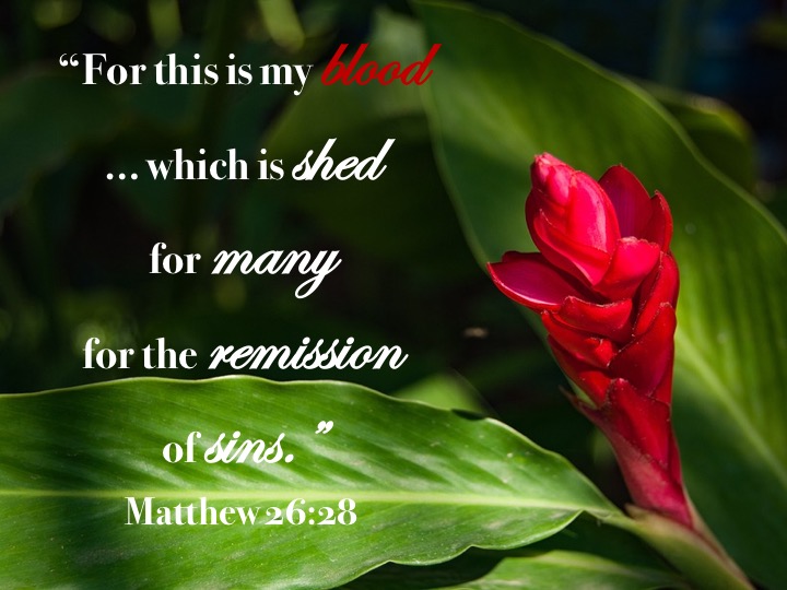 Matthew 26 28 English
