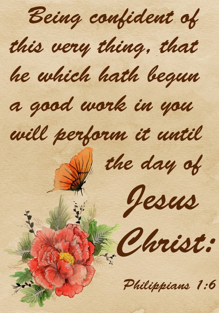 Philippians 1-6 English