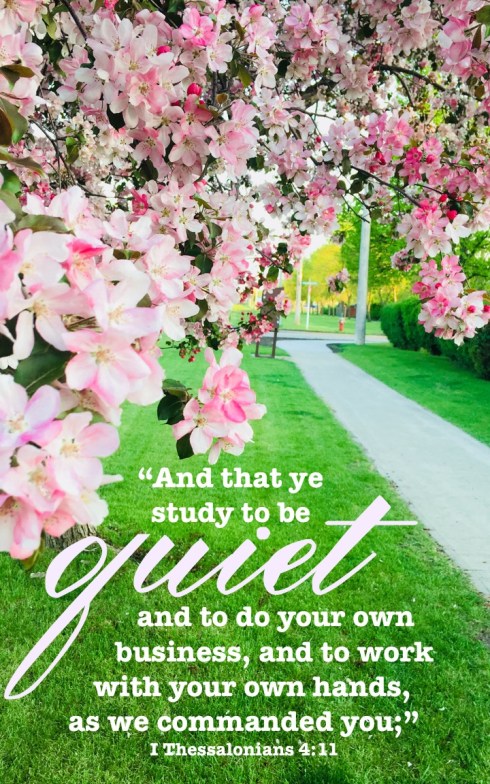 I Thessalonians 4 11 English