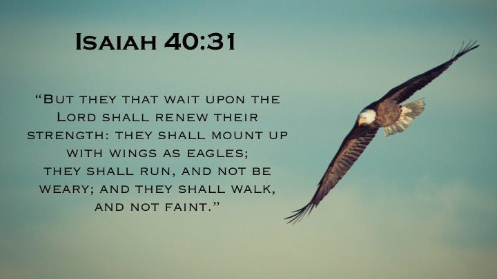 Isaiah 40-31 English