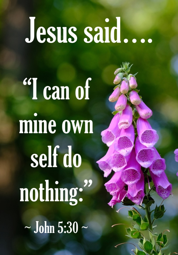 John 5 30 English