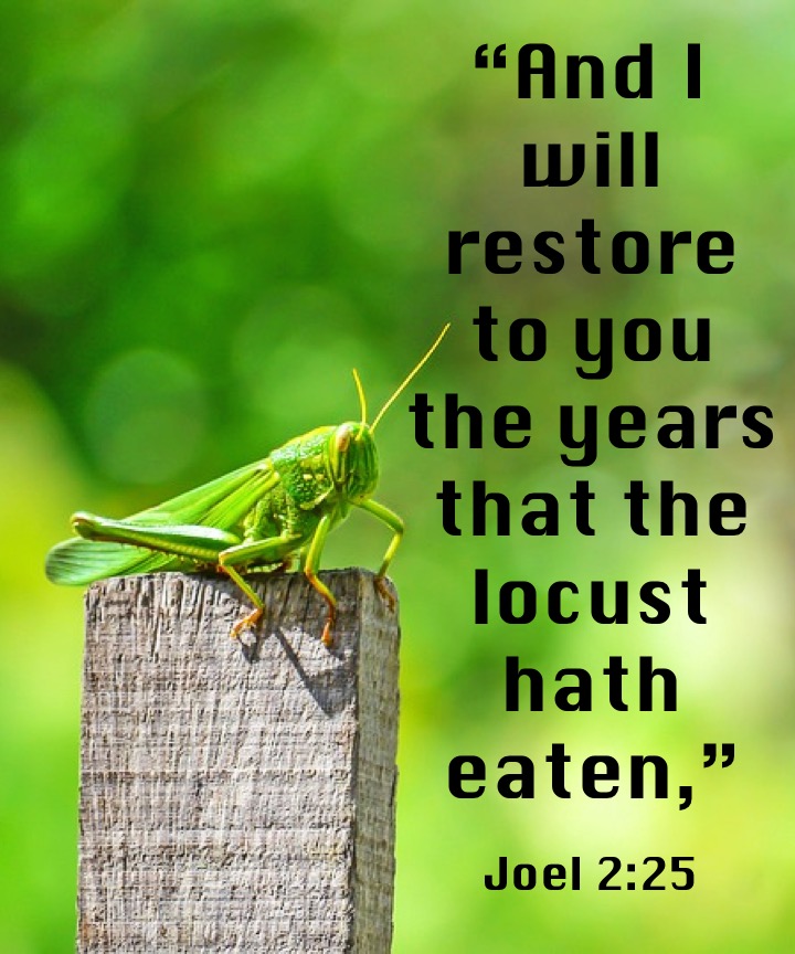 Joel 2 25 English
