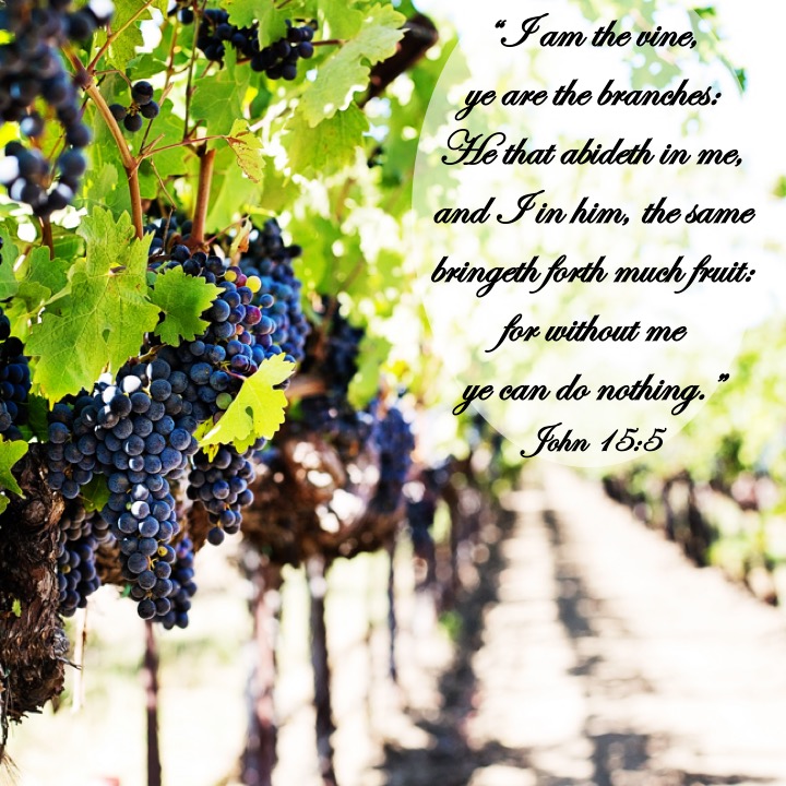 John 15 5 English