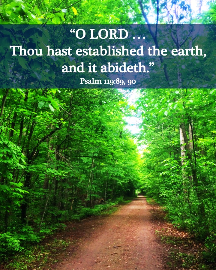 Psalm 119 90 English