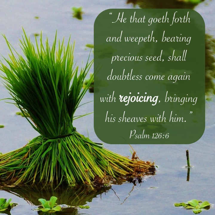Psalm 126 6 English.jpg