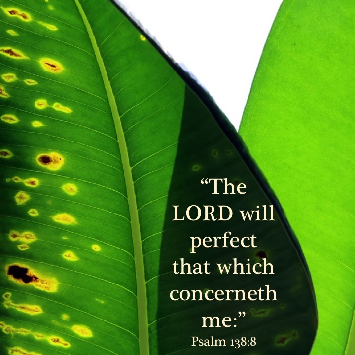 Psalm 138-8 English.jpg