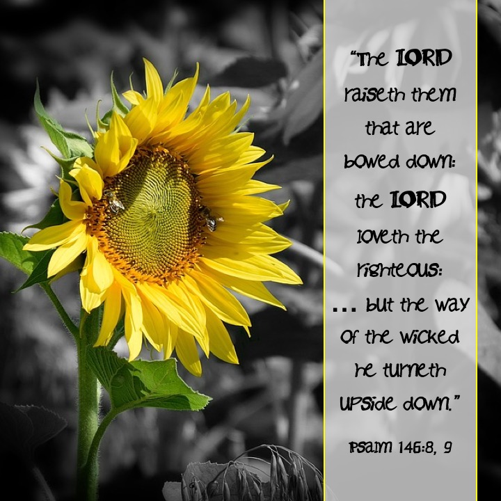 Psalm 146 8, 9 English.jpg