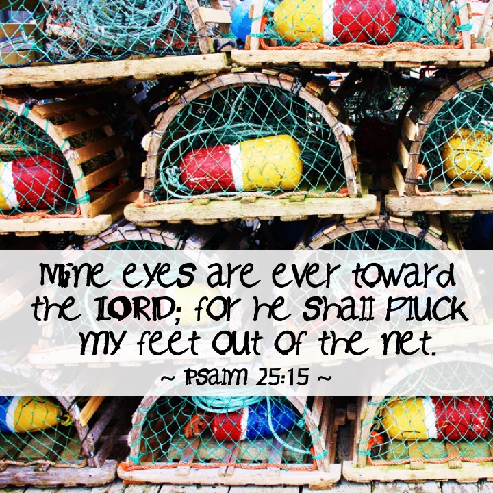 Psalm 25 15 English