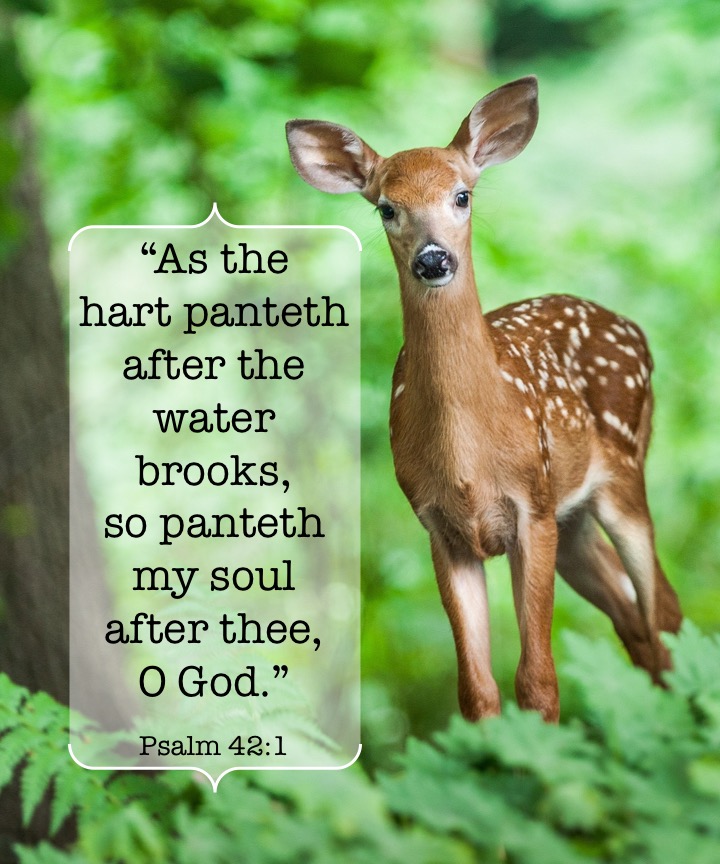 Psalm 42-1 English.jpg