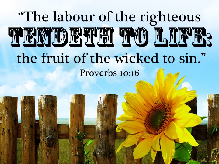 Proverbs 10-16 English.jpg