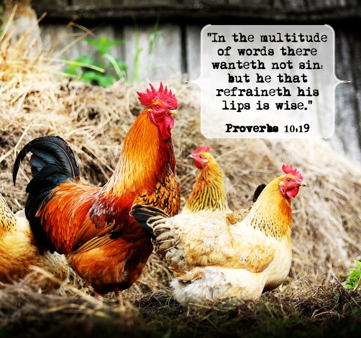 Proverbs 10 19 English.jpg