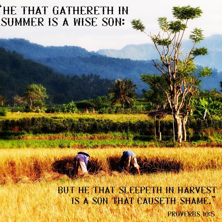 Proverbs 10 5 English.jpg