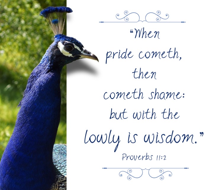 Proverbs 11-2 English