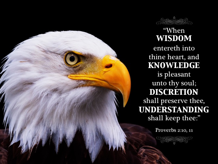 Proverbs 2 10, 11 English