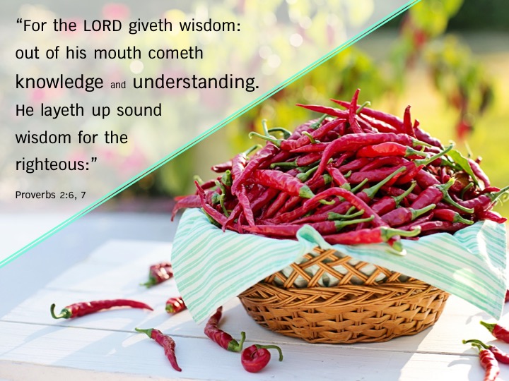 Proverbs 2 6,7 English.jpg