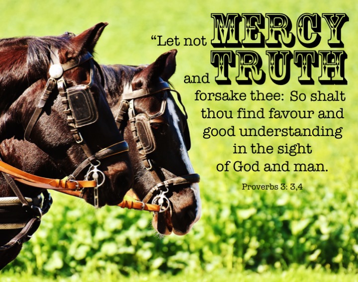 Proverbs 3 3 English