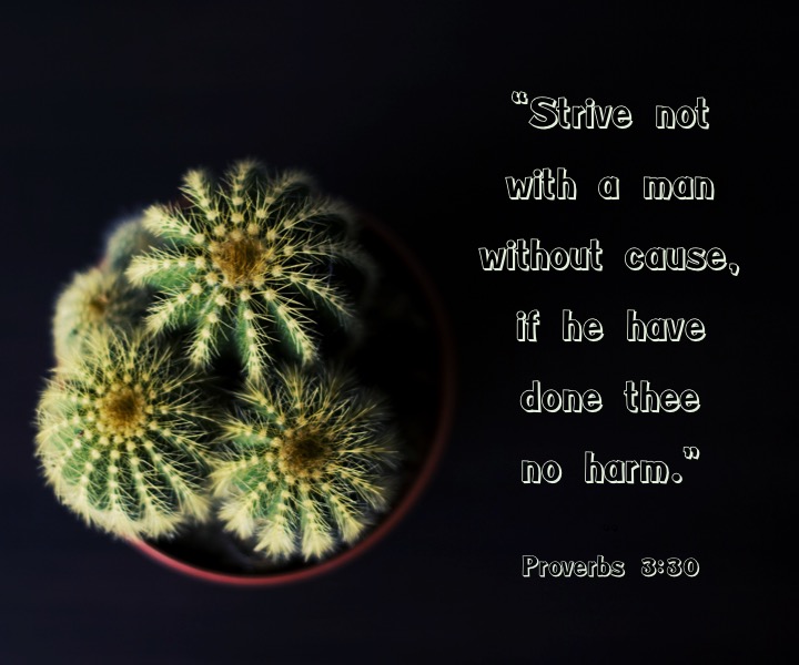 Proverbs 3 30 English