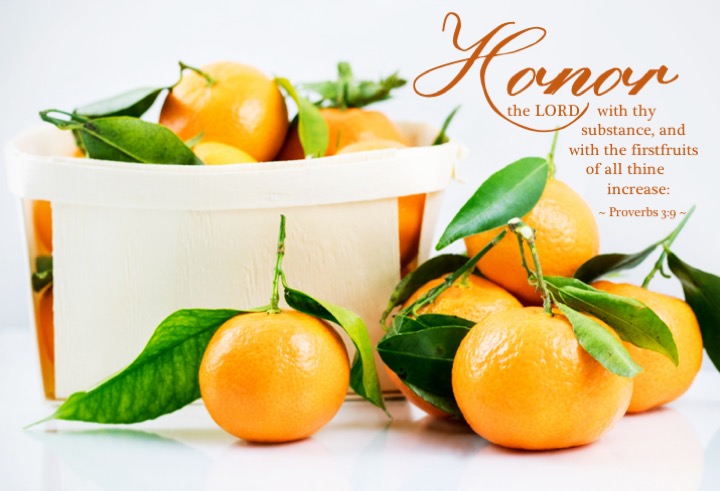 Proverbs 3-9 English