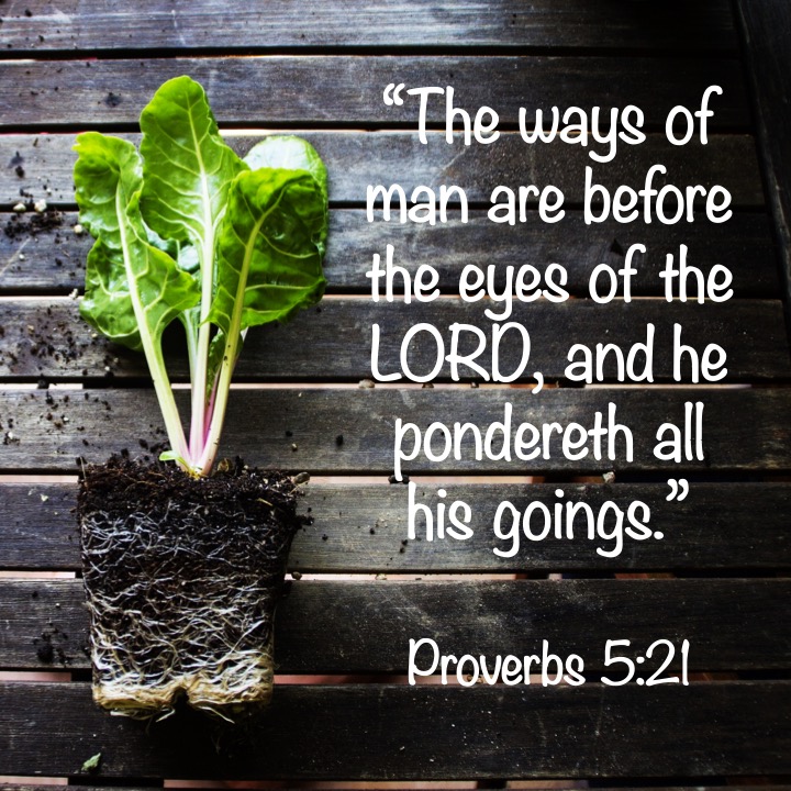 Proverbs 5-21 English