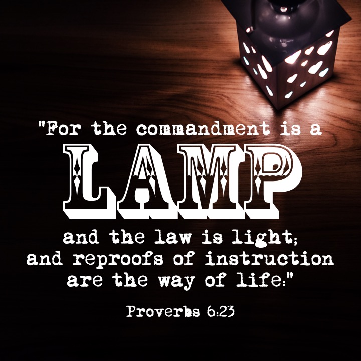 Proverbs 6 23 English