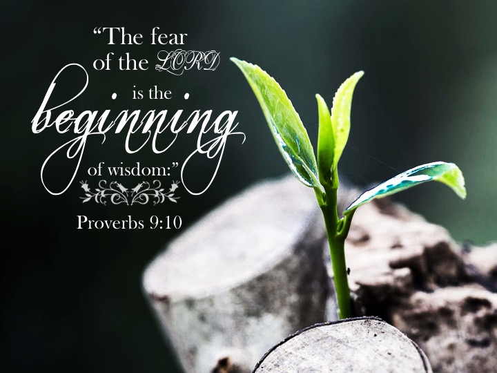 Proverbs 9 10 English