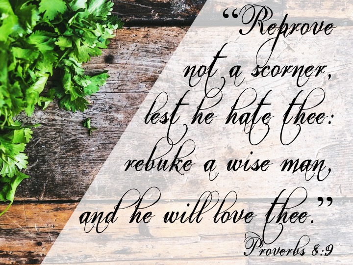 Proverbs 9 8 English.jpg