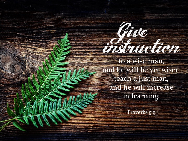 Proverbs 9 9 English.jpg