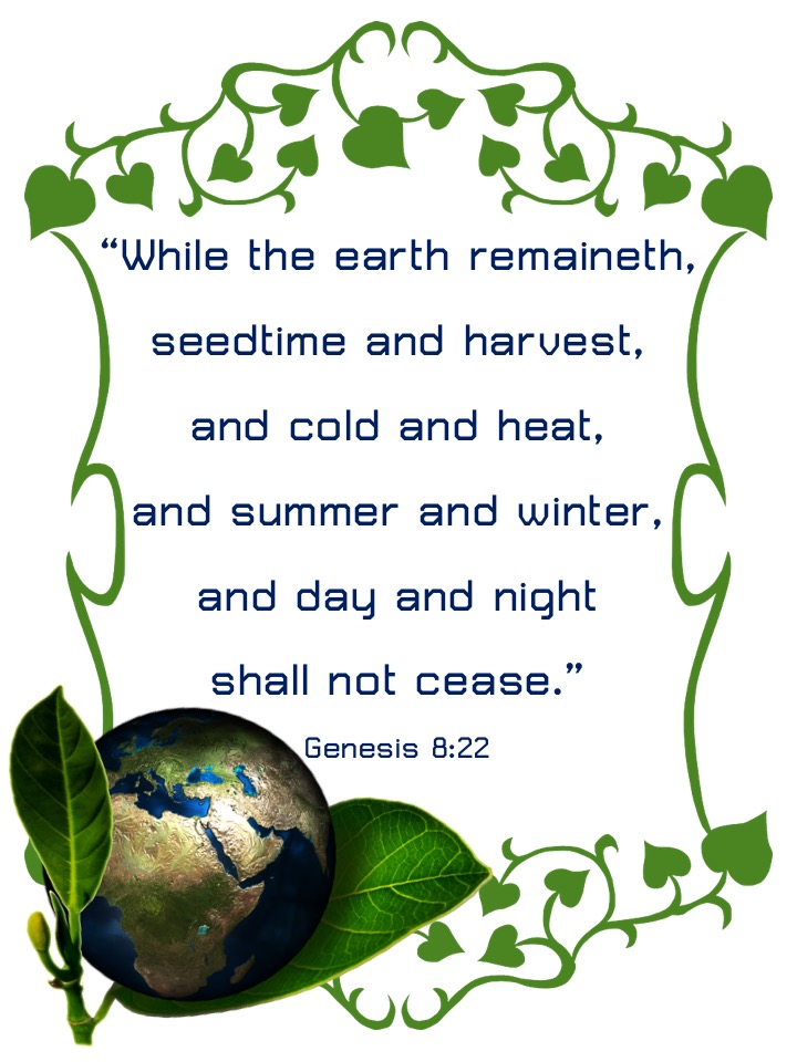 Genesis 8-22 English.jpg