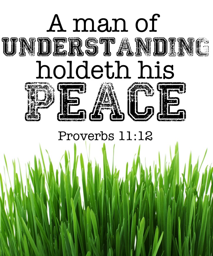 Proverbs 11 12 English.jpg