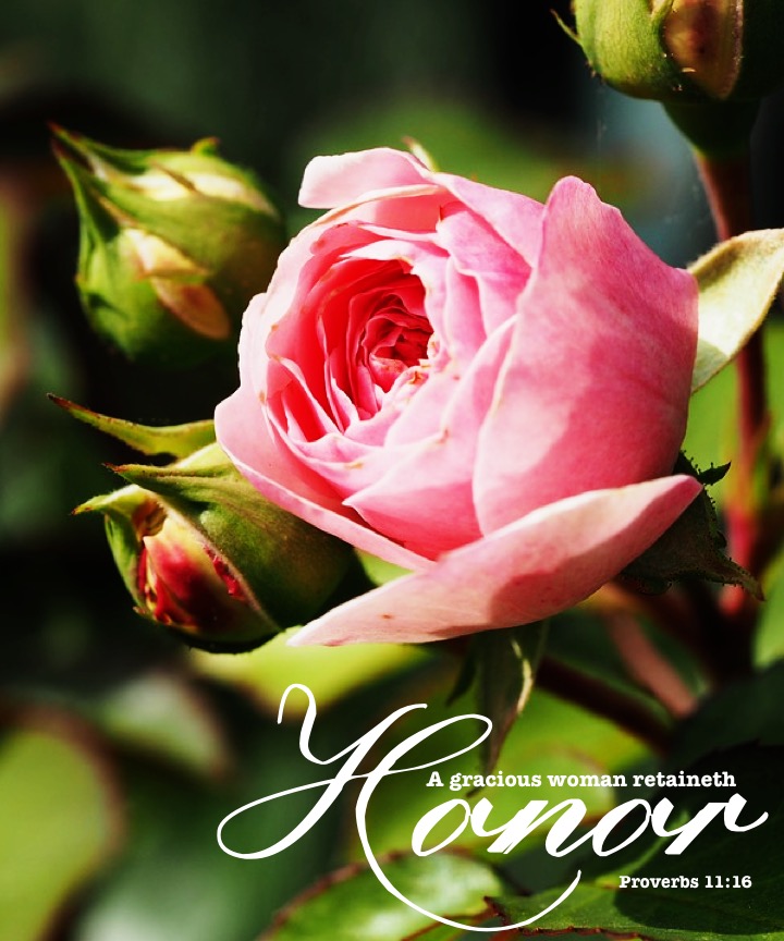 Proverbs 11 16 English.jpg