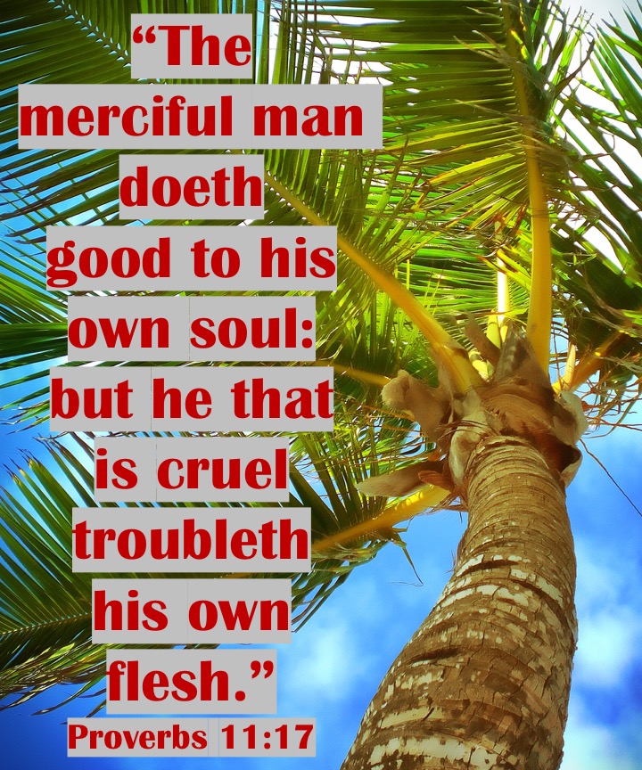 Proverbs 11 17 English.jpg