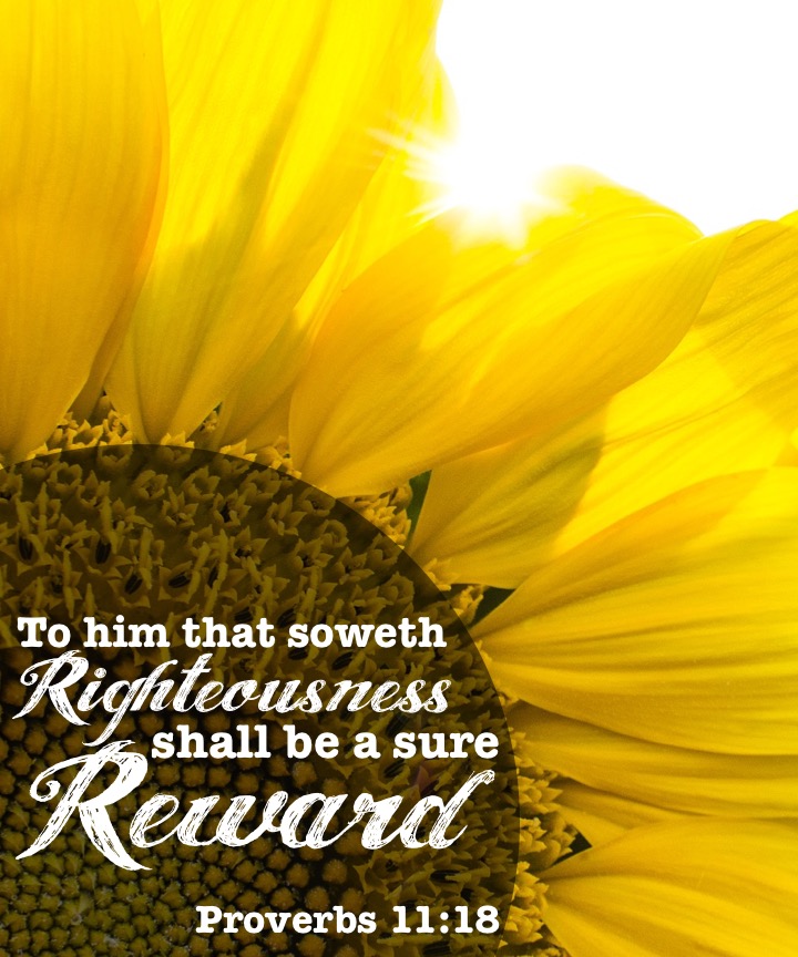 Proverbs 11 18 English.jpg