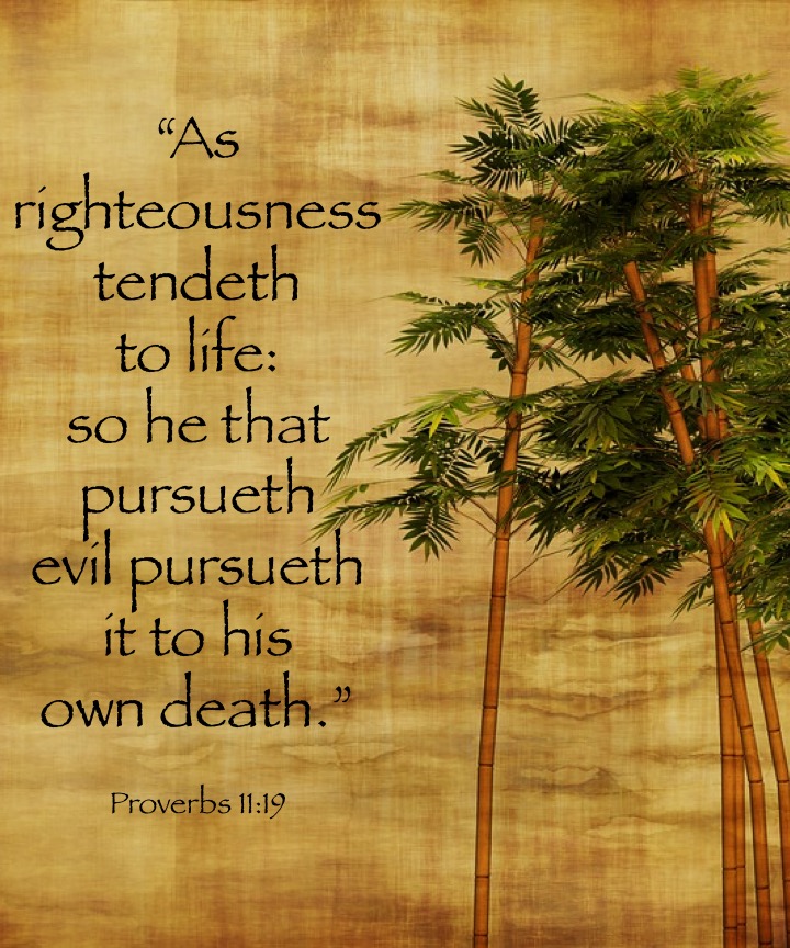 Proverbs 11 19 English