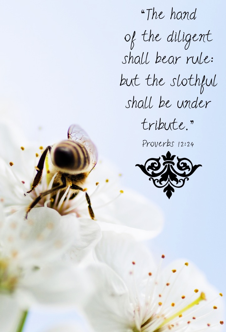 Proverbs 12 24 English