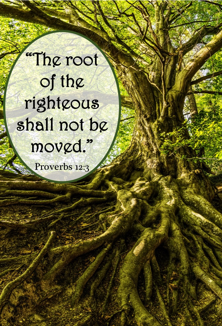  Proverbs 12 3 English.jpg