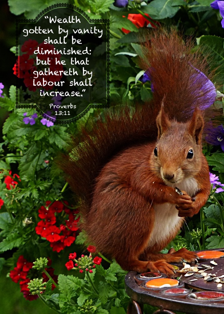 Proverbs 13 11 English