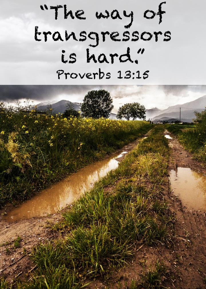 Proverbs 13 15 English.jpg