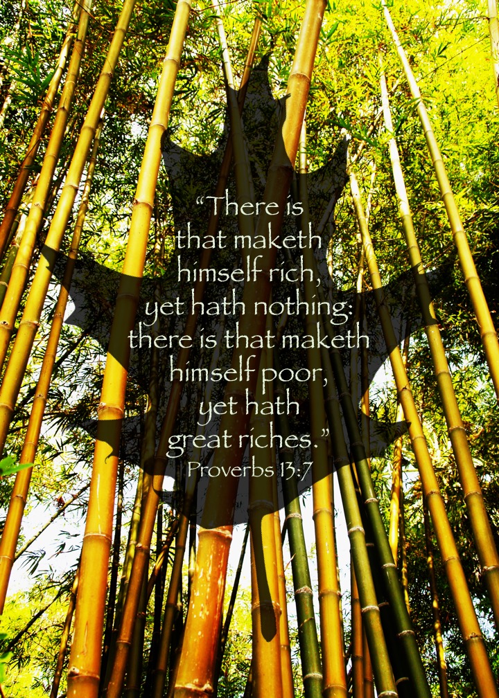 Proverbs 13 7 English