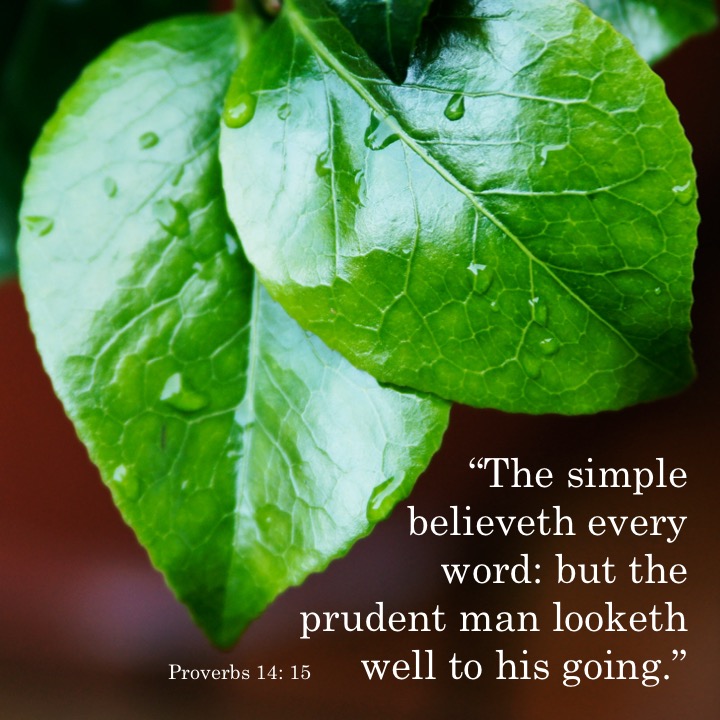 Proverbs 14 15 English.jpg