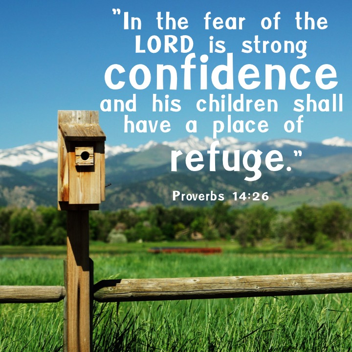 Proverbs 14 26 English.jpg