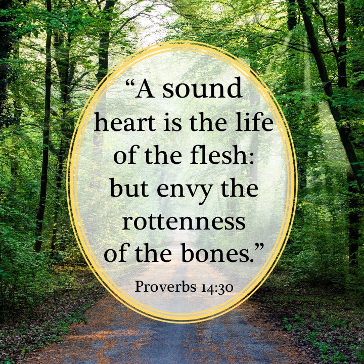 Proverbs 14 30 English.jpg