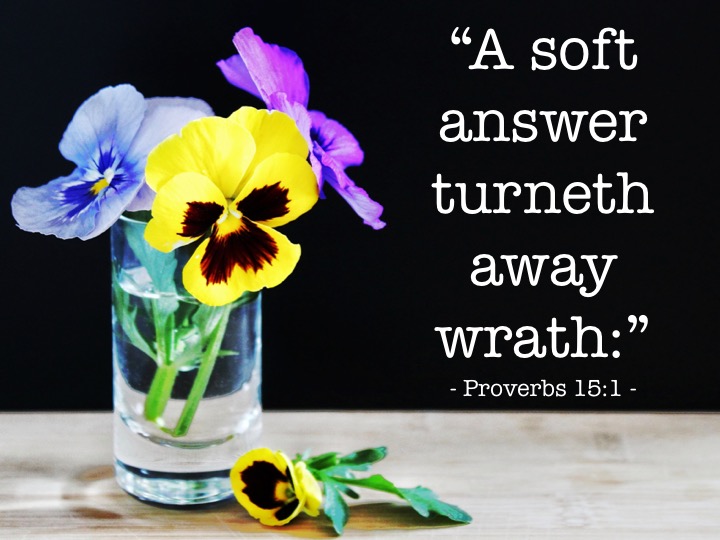 Proverbs 15 1 English.jpg