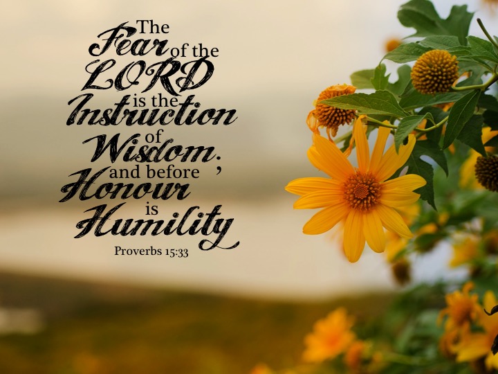 Proverbs 15 33 English