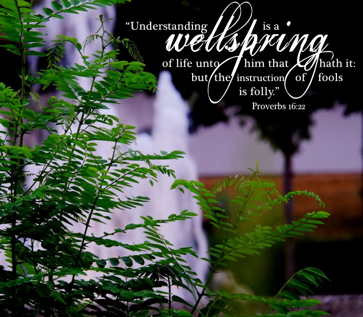 Proverbs 16 22 English