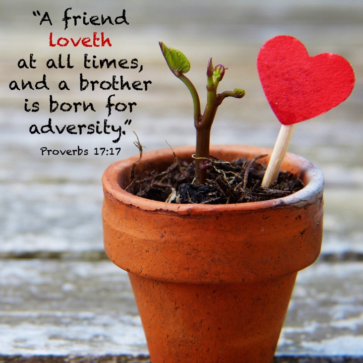 Proverbs 17 17 English.jpg