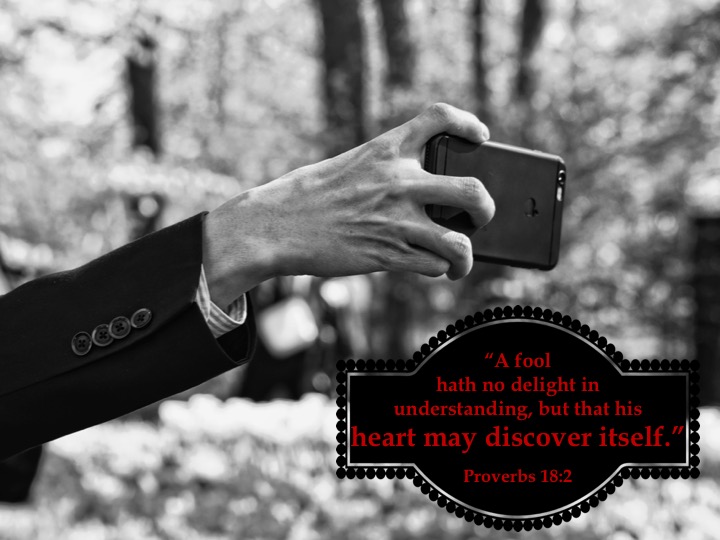 Proverbs 18 2 English