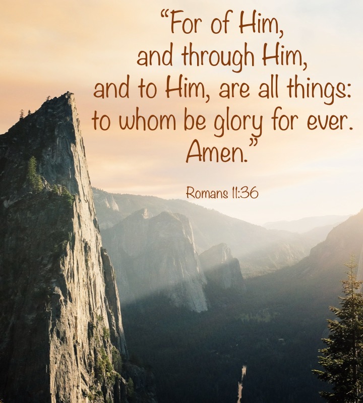 Romans 11-36 English