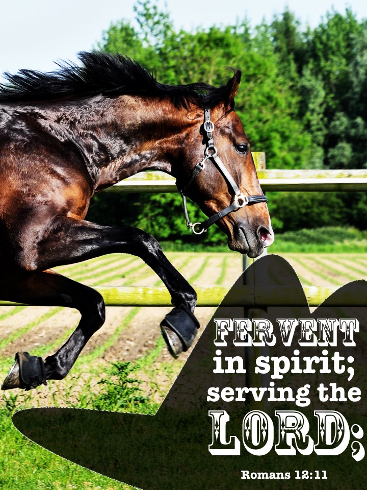Romans 12 11.2 English