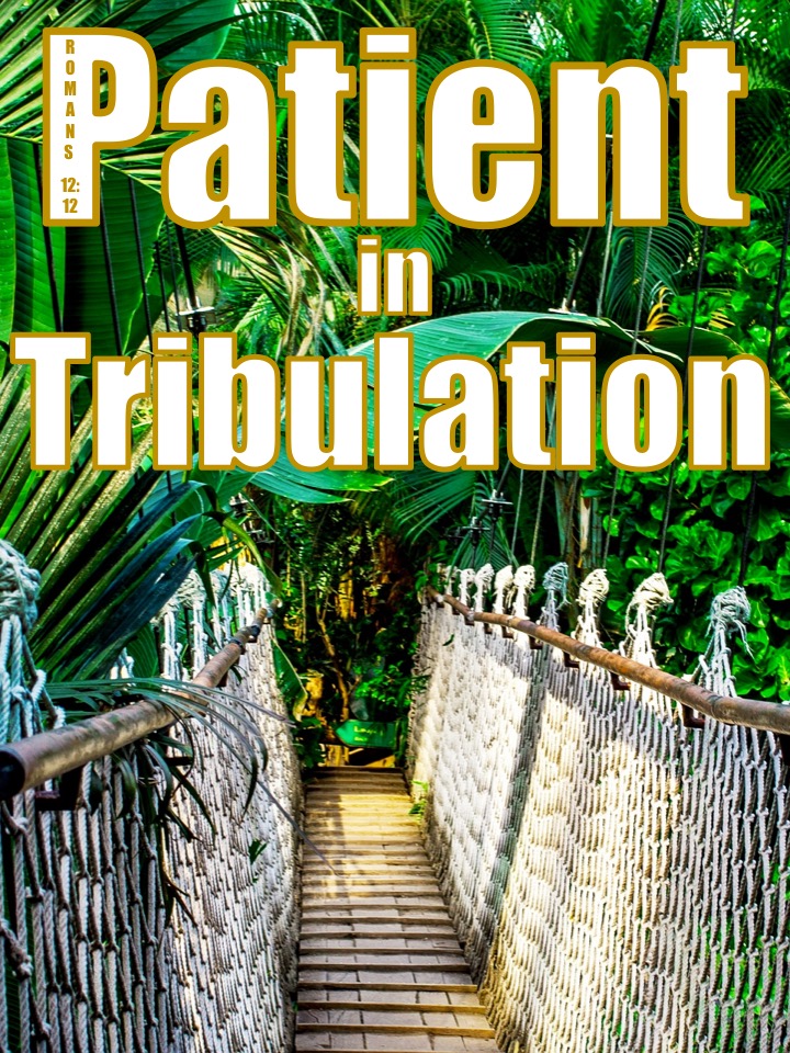 Romans 12 12.2 English.jpg